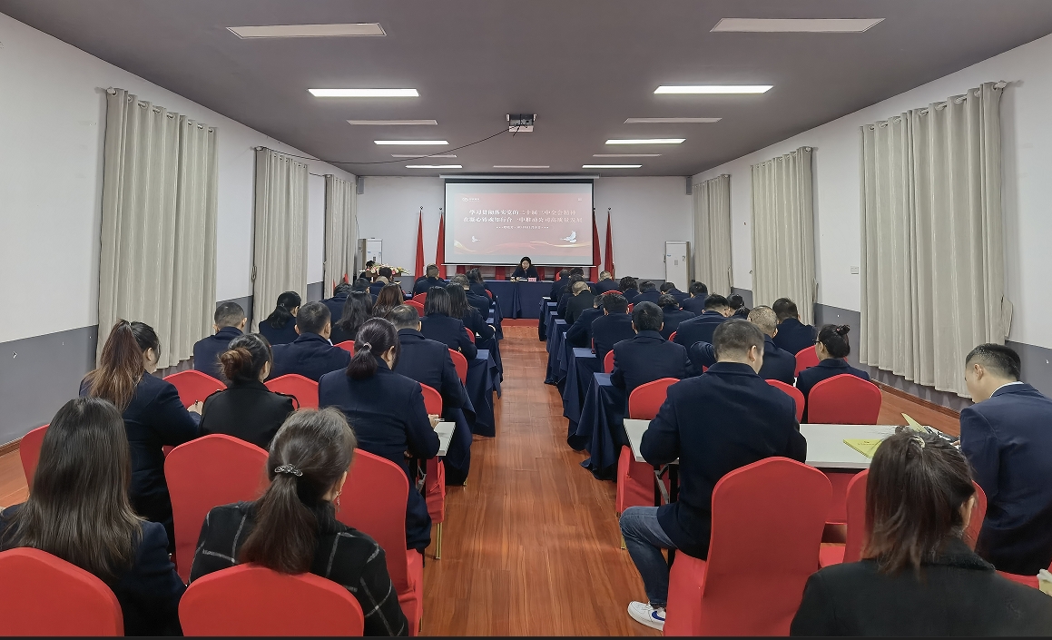 湘安實(shí)業(yè)開展學(xué)習(xí)貫徹黨的二十屆三中全會(huì)精神專題黨課活動(dòng)