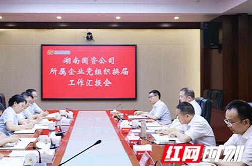 凝心聚力謀發(fā)展 湖南國資公司所屬四戶企業(yè)完成黨組織換屆